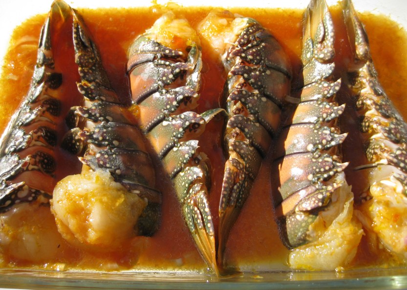 IMG_4039 lobster marinating