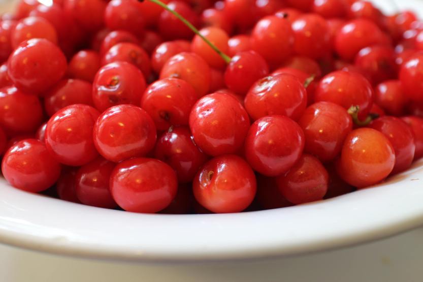 2013 0703 IMG_2045 Sout cherries in bowl