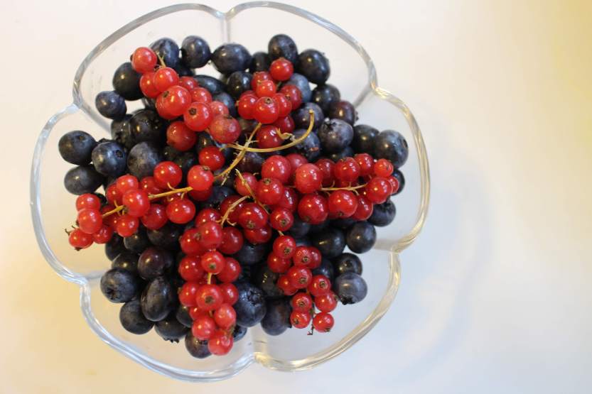 2013 0717 IMG_2257 Blueberries and currants