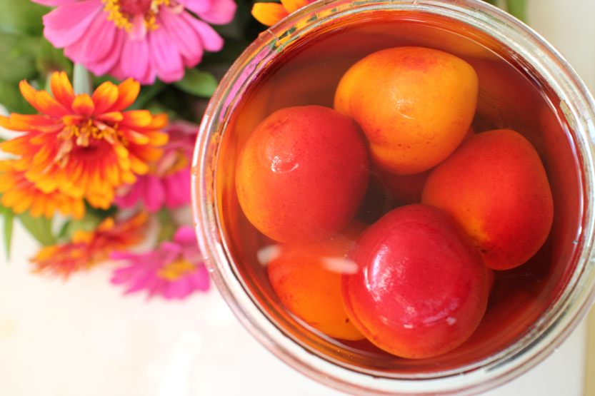 2013 0812 IMG_2472 Apricots in brandy