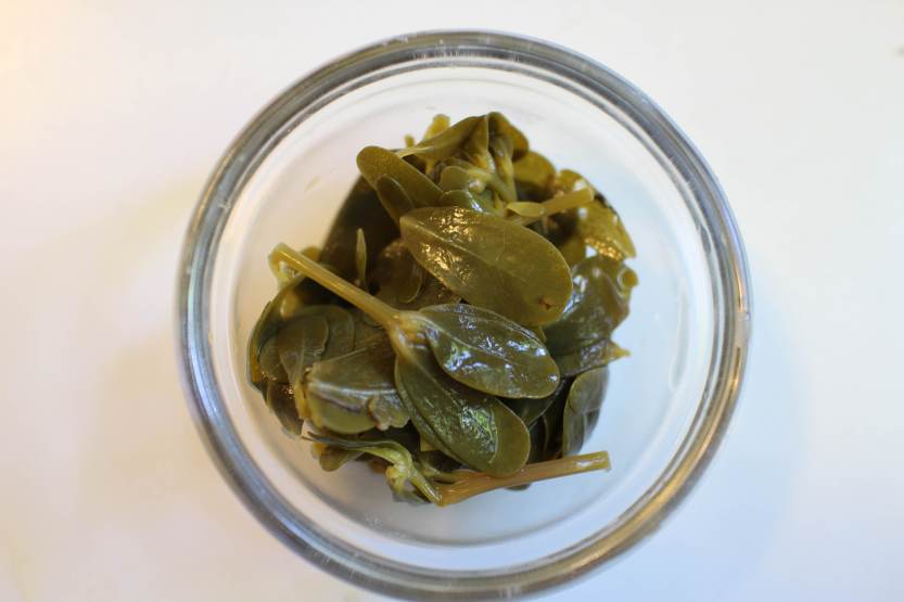 2013 0824 IMG_2797 Pickled purslane