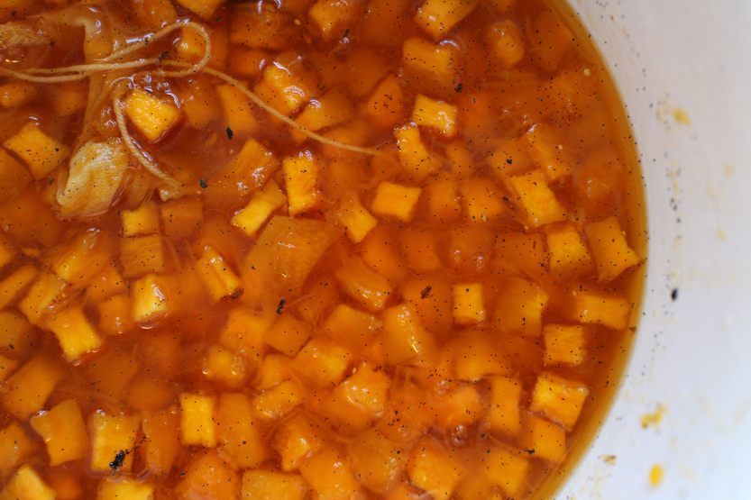 2014 0221 IMG_3924 Squash after macerating overnight