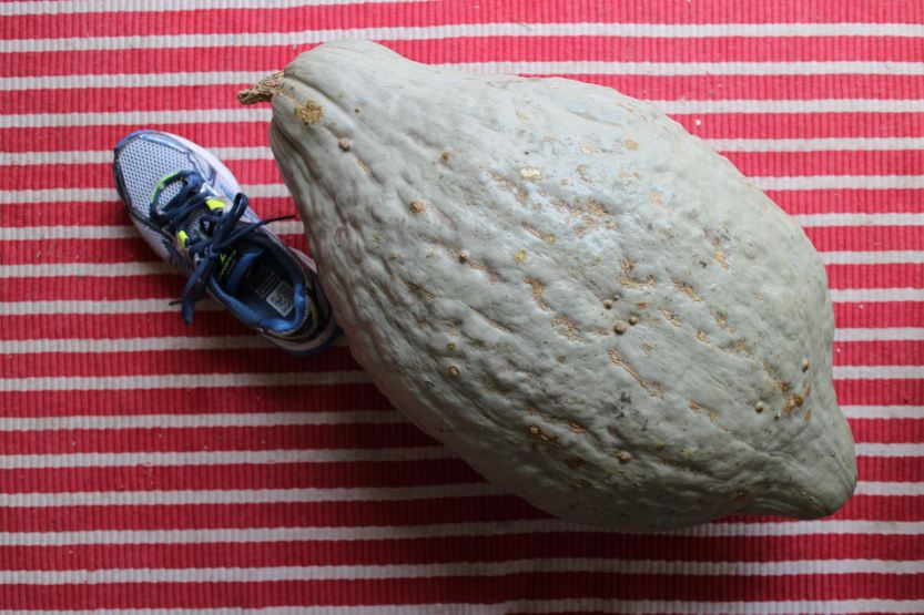 2014 0302 IMG_3847 Blue Hubbard and shoe