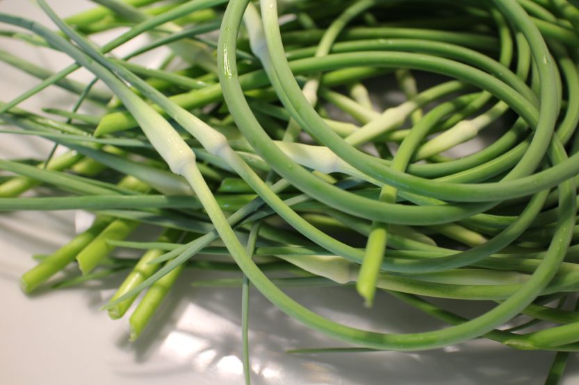 2014 0626 IMG_4617 Garlic scapes
