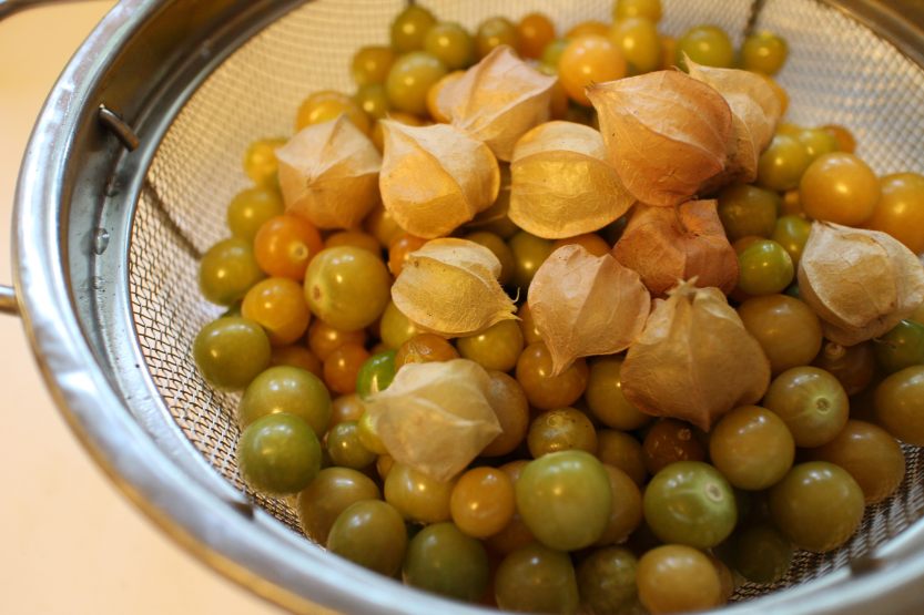 2014 1004 Husk cherries