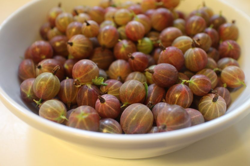 2015 0627 Gooseberries in bowl