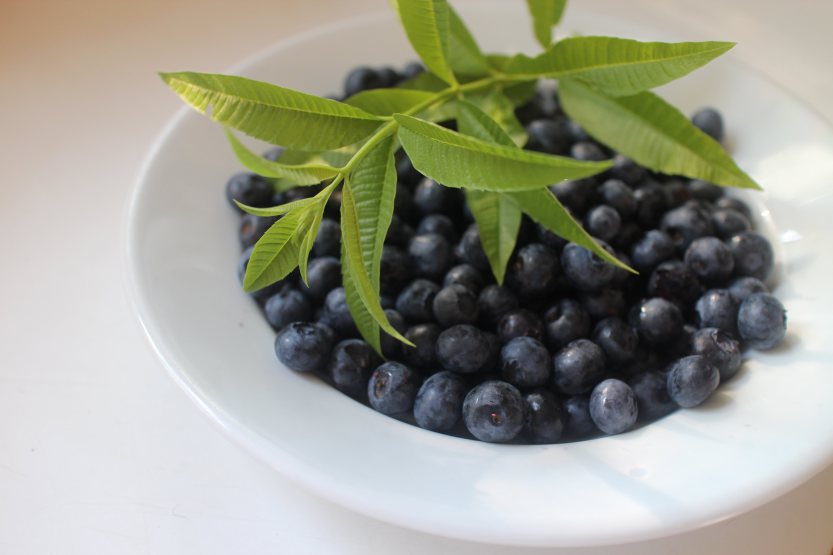 2015 0725 Blueberries and lemon verbena