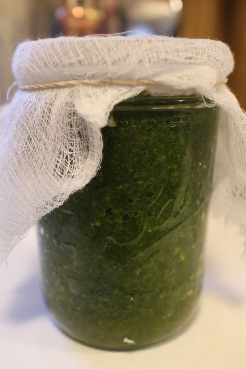 2017 1116 Fermenting Green Jalapenos