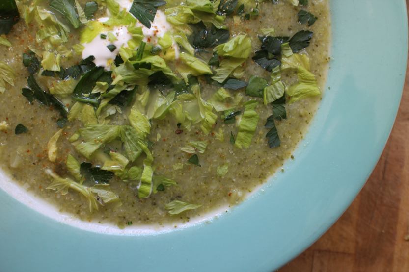 2018 0301 Broccoli Celery Soup MG_7604