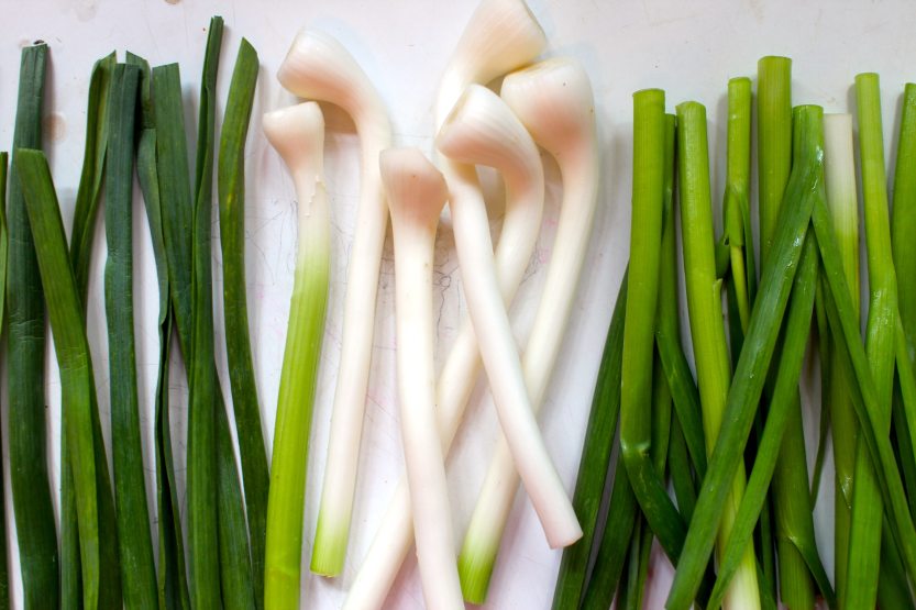 2018 0528 Green Garlic Trimmed R