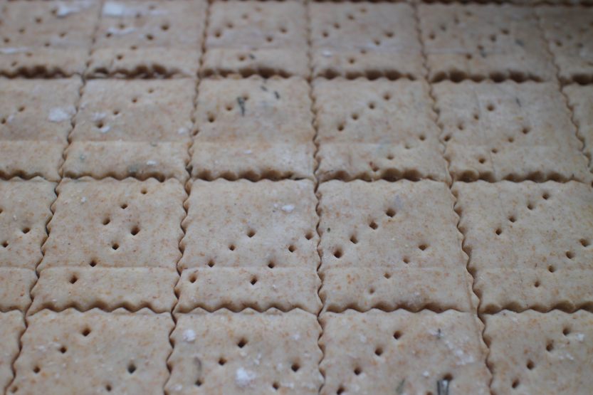 20200413 Sourdough cracker dough IMG_8071