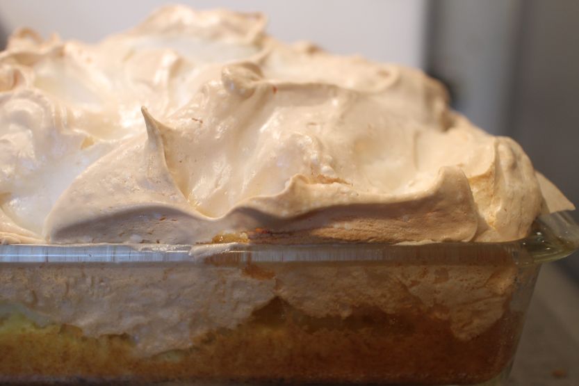 2020 0526 Meringue cake from the side IMG_7899