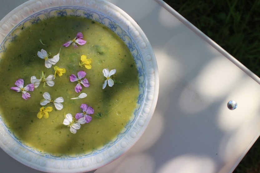 20200612 Asparagus soup with radish flowers IMG_8349